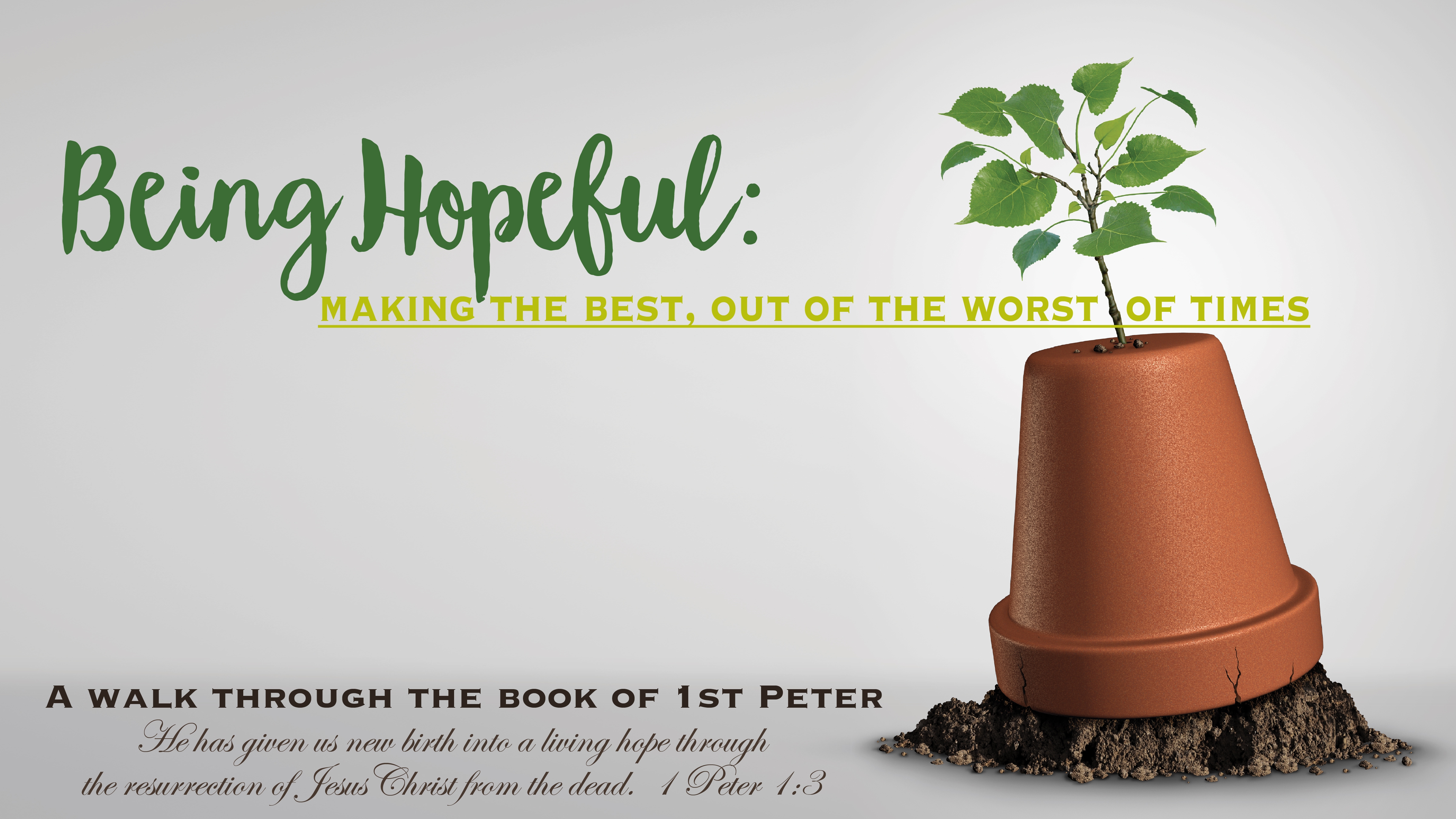 Being Hopeful: Making the Best of Times Out of the Worst of Times