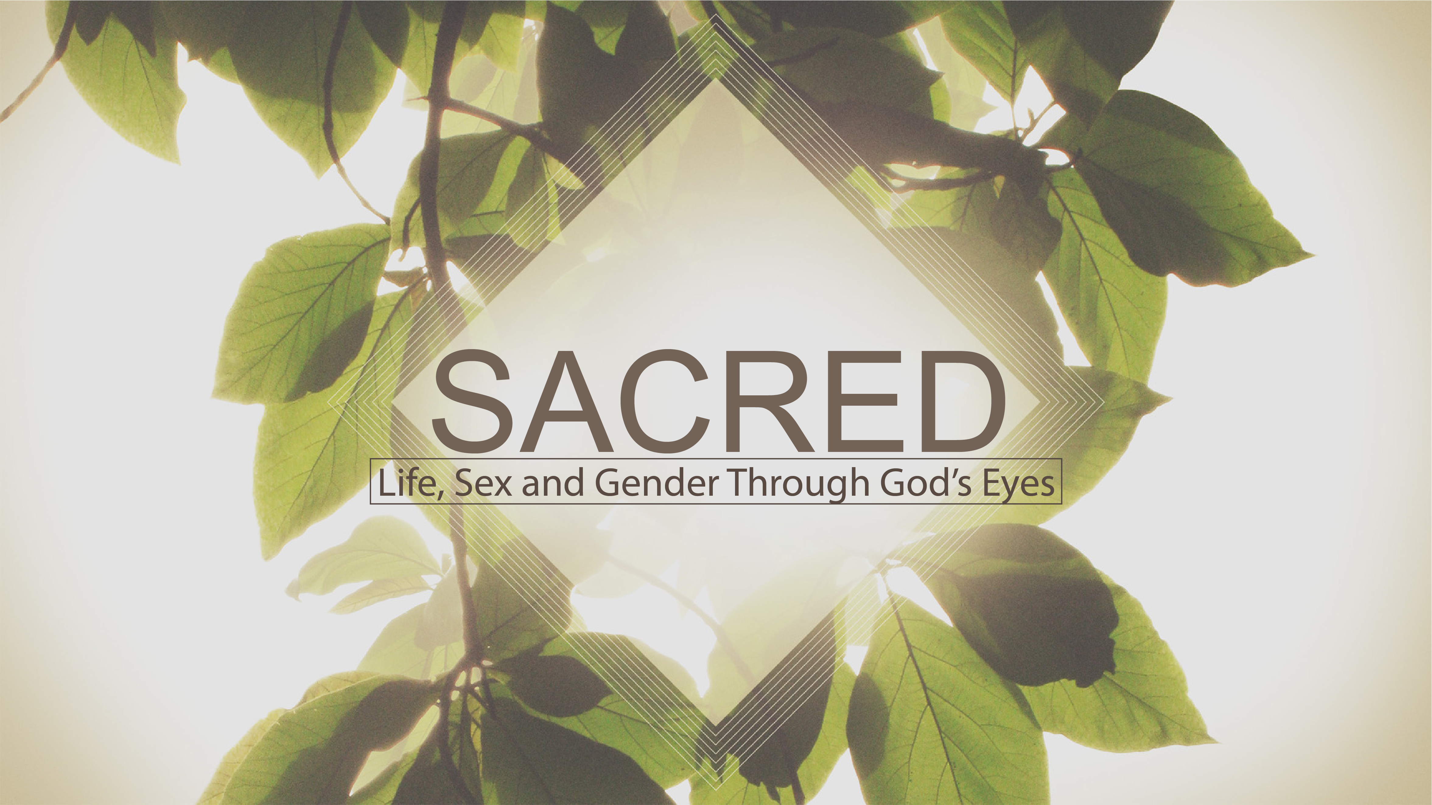 Sacred: Life, Sex, and Gender through God's Eyes